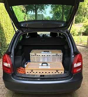 enten op weg